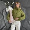 Women's Stand Collar Jacket Button Down Lantern Sleeve Elastic Cuff Pocket Solid Color Casual Coat