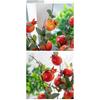 Realistic Design Pomegranate Flowers Artificial Flowers