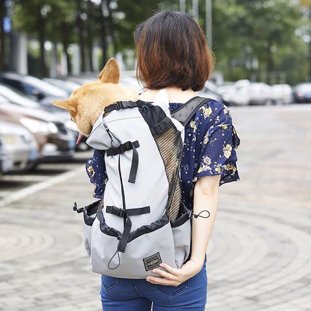 ld dog backpack