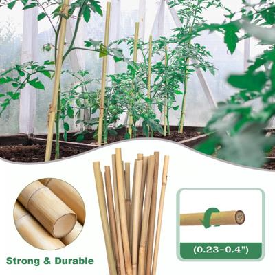 20 Pcs Bamboo Plant Support Stakes Reusable Garden Stakes Natural Bamboo Sticks Support Poles for Orchid Tomato Vegetables Climbing Plants