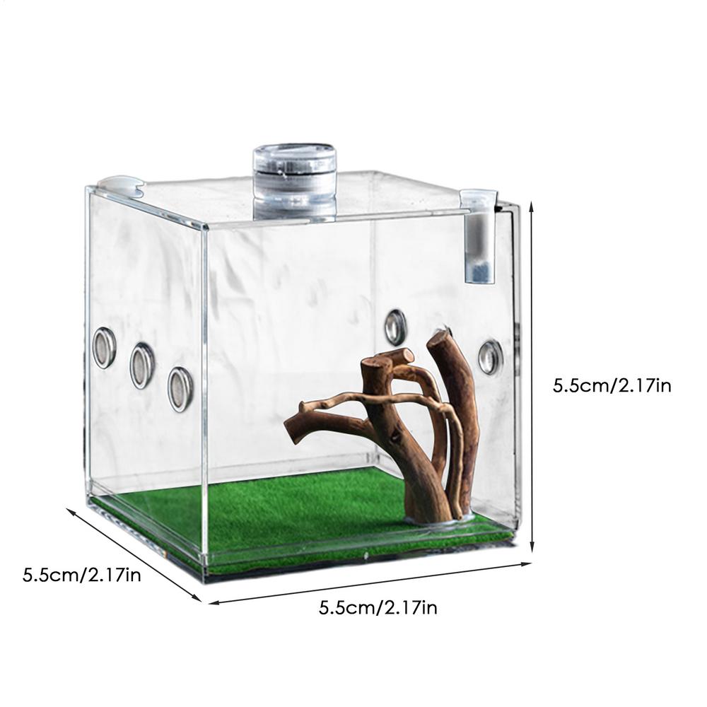 Кормушка для рептилий и насекомых, инсектарий, бокс для разведения рептилий, легкий и маленький бокс для разведения животных, более удобный и с хорошей видимостью