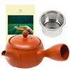 Tokoname-yaki Kyusu (Japanese Teapot) Made In Japan [ Easy To Clean / Includes Stainless Steel Tea S