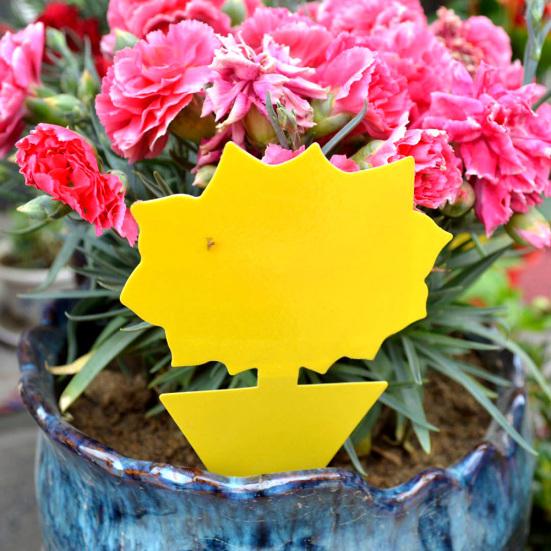 20Pcs Flying Gnat Catcher Insect Dual Sided Yellow Sticky Trap Indoor Outdoor