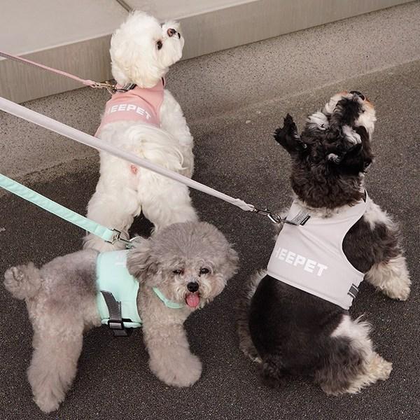 Dog Boutique Hundegeschirr, Kleidungsset, Leine, Set mit Brustleine, Spazierzubehör, Grau