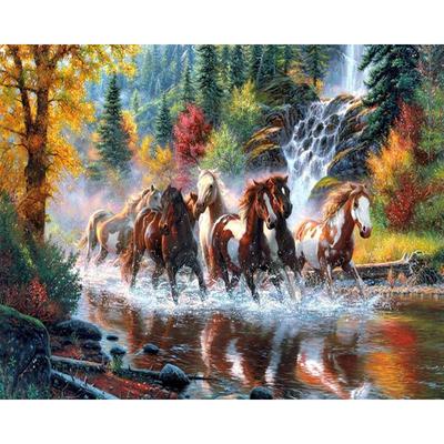 Pittura Diamante Punto Croce Mosaici Copertura Totale Ricamo Cascata e Cavallo Ricamo Diamante