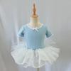 Girls' Ballet Princess Dress - Short Sleeve Bow Skirt Costume