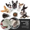 Ceramic Cat Bowl Dog Feeding Bowls Pet Feeder with Wood Stand For Cats Puppy Food Water Storage Feeding Accessories Pet Supplies