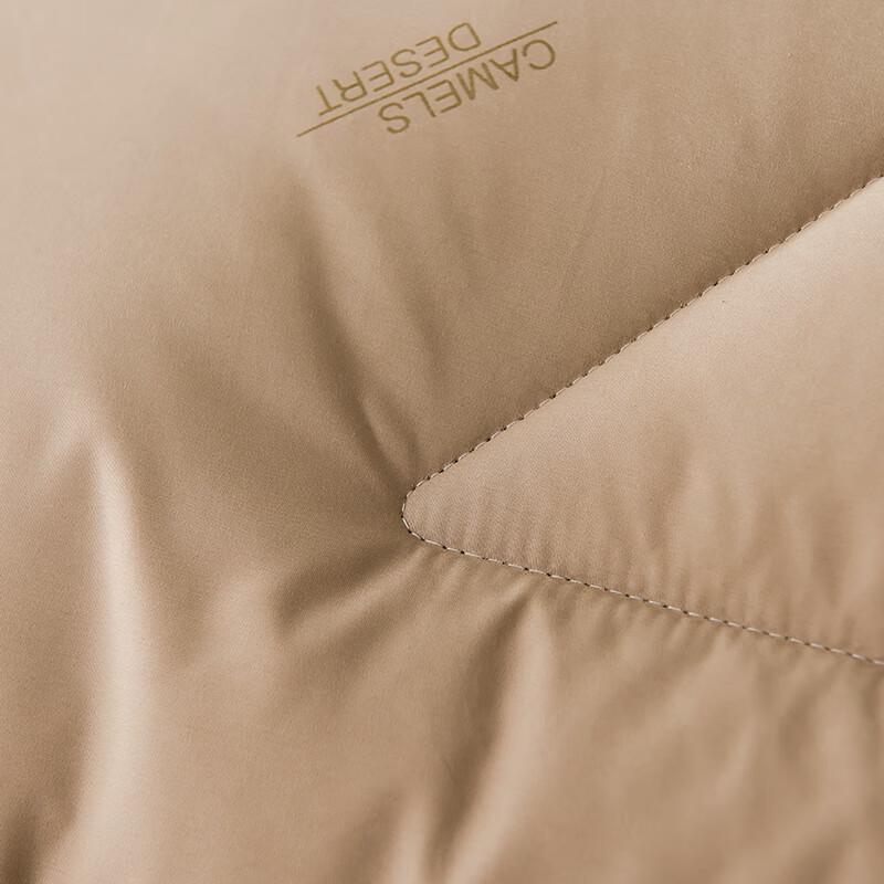 Elements Cotton Whispers Thickened Camel Hair Blend Winter Quilt