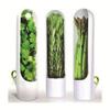 Vanilla Fresh-Keeping Box: Creative Cilantro & Vegetable Anti-Crush Storage Cup.