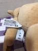 [USED] Merrythought Teddy Bear