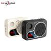 Portable Bluetooth Speaker & Lightweight Wireless Microphone for Teachers & Musicians