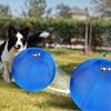 Herding Ball for Dogs 18 Inch - Dual-Layer Heavy Duty Herding Ball for Australian Shepherds, Border Collies & Corgis | Dog Training Ball with Washable