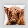 Highland Cow Pillow Cover Customize Pillowcase Modern Home Decorative Pillow Case For Living Room 45X45cm,40X40cm