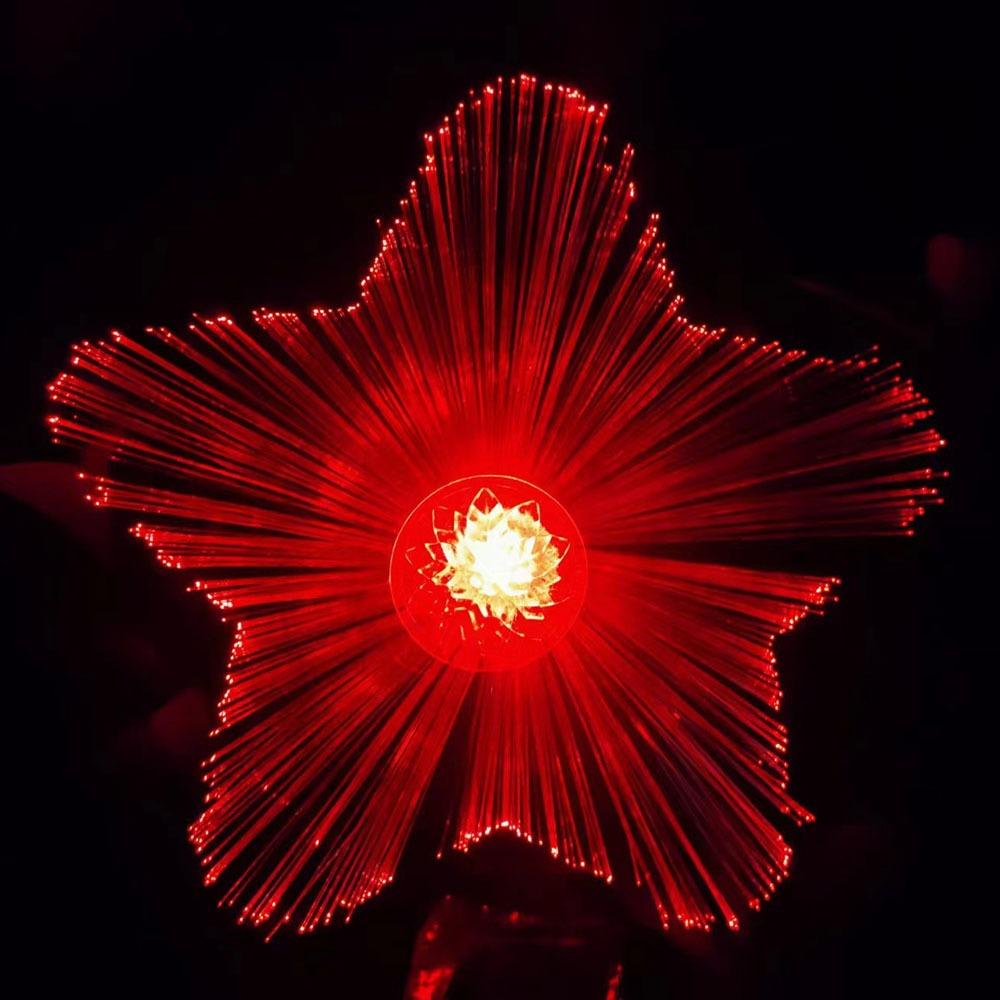 

Waterproof Fiber Optic LED Lamp Solar Powered Garden Solar Lights Outdoor Courtyard 2Pcs Five-pointed Star