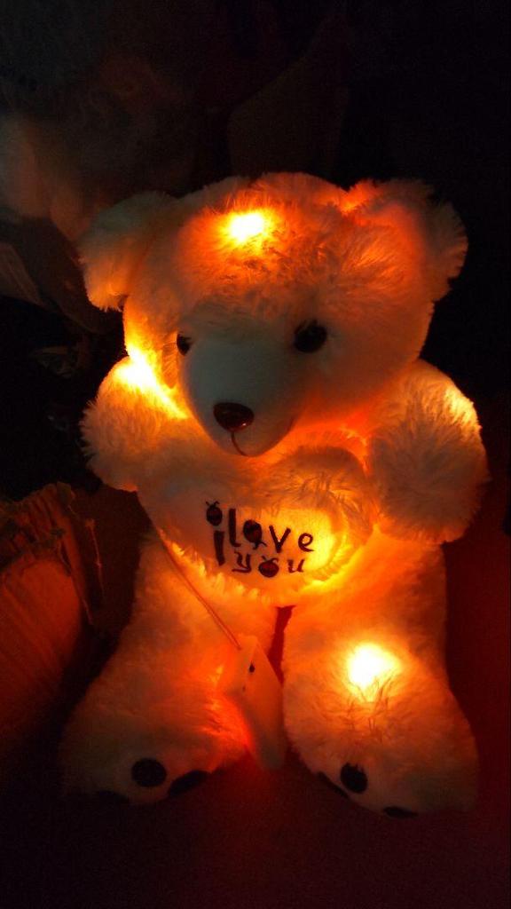 [USED] Colorful Glowing Teddy Bear