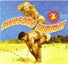CD DIVERS  Awesome Summer 2 5650452 Polymedia 1998 Canada Dans  Elektronica Gebruikt
