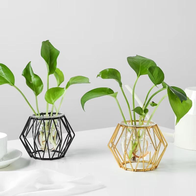 Vase 1 pièce en verre, ornements hydroponiques, Pothos, décoration de salon, bureau, arrangement floral