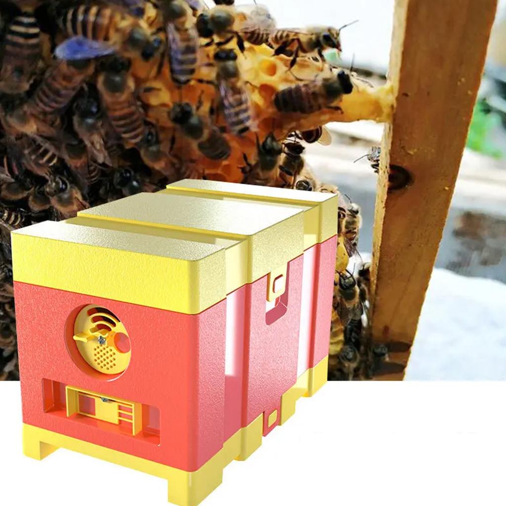 Functional Queen Mating Tool Beequeen Rearing Box Bees Mating Box Beekeeping Equipment Plastic Texture for Farmers