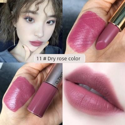 OTwo European and American Retro Lipstick Long Lasting Fadeless Double Head