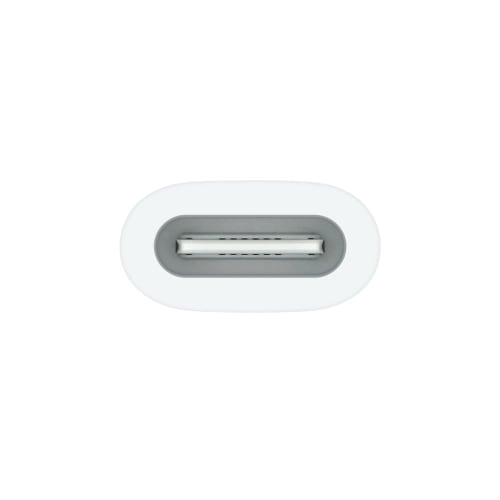 Apple USB-C To Apple Pencil Adapter - Compatible with iPad 10th Generation