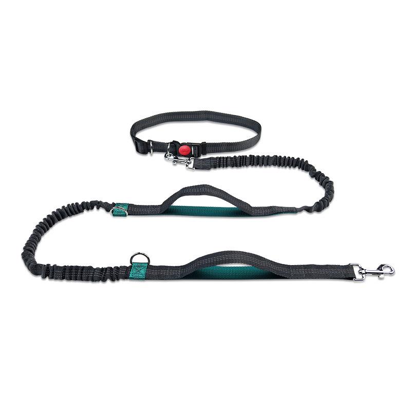 Reflective Double Retractable Dog Leash for Running Width 2.5CM (Waist 75-135CM)