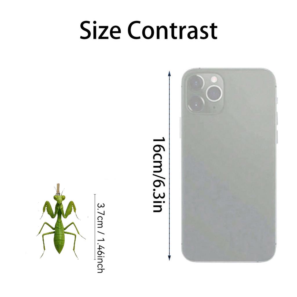 2D Plane+airplane Box +24PC+ Fitness Decoration Advent Christmas Countdown Box Calendar