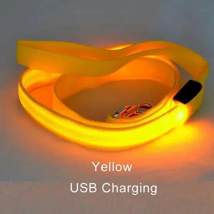 Led Pet Dog Leash Rope With Light Luminous Lead Leash USB Charging for Dog Safety Flashing Glowing Collar Harness Accessories