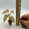 1:12 Dollhouse Miniature Plant  Miniature Dollhouse Decorations