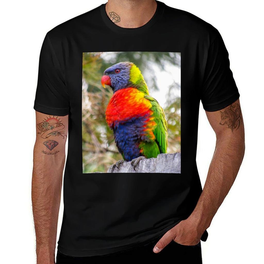 Rainbow Lorikeet Tshirt Plus Size Gym Sports Tshirt