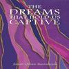 The Dreams That Hold Us Captive by Jonah Quinn Barenboym Paperback Book 9781035885268