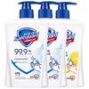 Safeguard Antibacterial Hand Wash Set