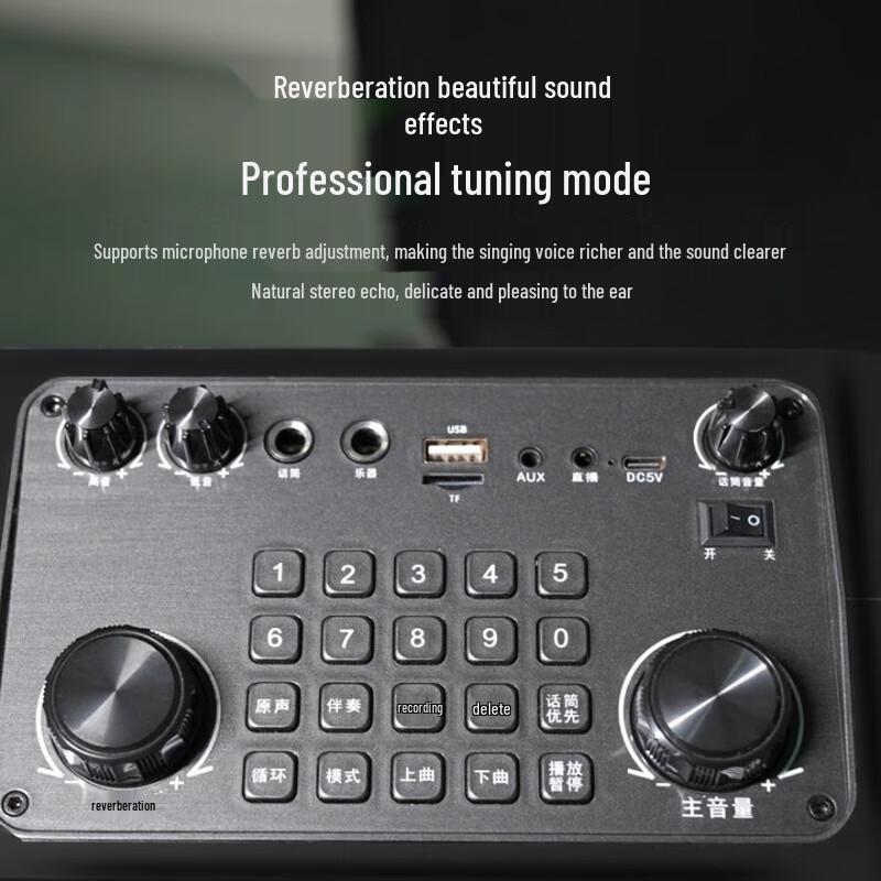 BD-H2125 Portable Bluetooth KTV Speaker with Microphones