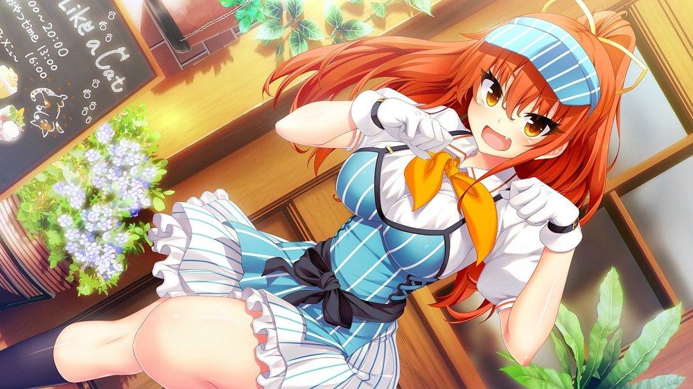 and Stray Cat Heart HD TV anime and Stray Cat Chaos TCG and Stray Cat PR card included PS4 Nora, Princess, [Bundle Bonus] "Nora, Princess, Heart" DVD,