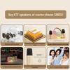 SAST A66 Home KTV Karaoke Microphone Speaker System CN plug (adapter included)