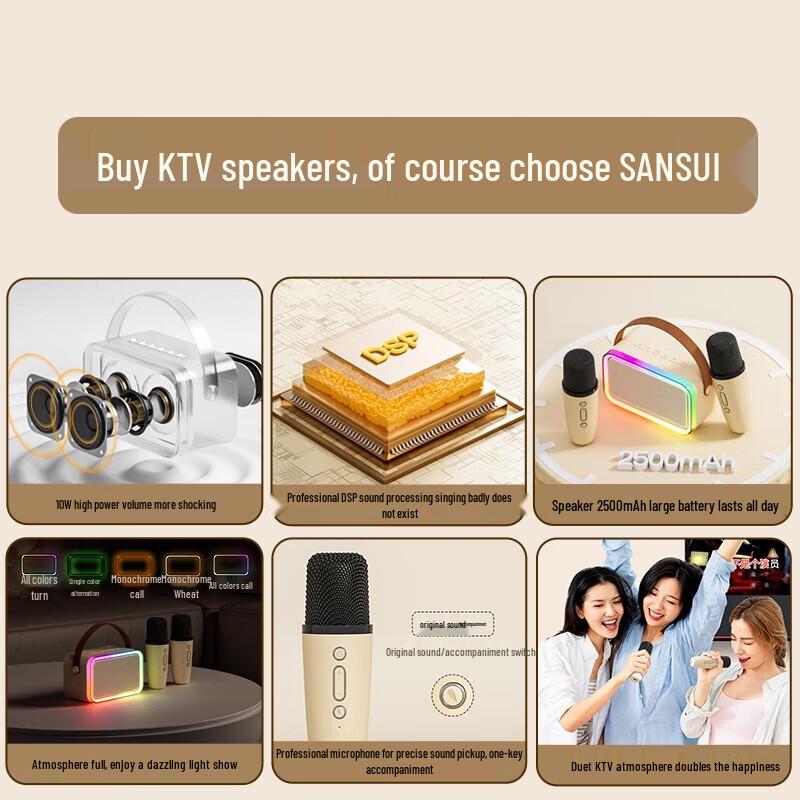 SAST A66 Home KTV Karaoke Microphone Speaker System CN plug (adapter included)
