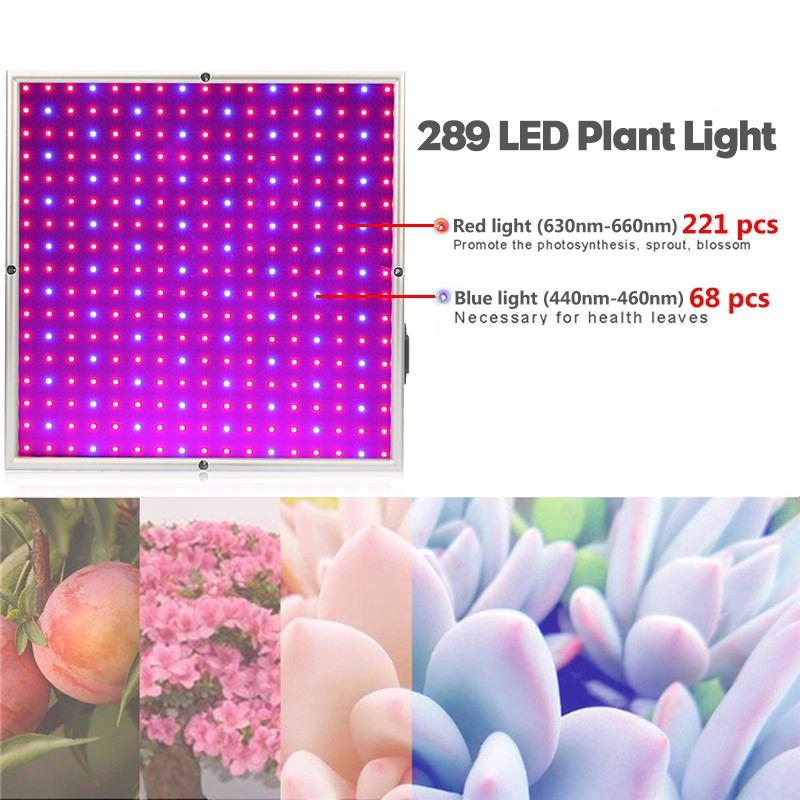 1200w Growing Lamps LED Grow Light 289 LEDS Full Spectrum for Greenhouse Indoor Hydroponic Plant Seedling Flower