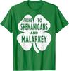 Prone To Shenanigans and Malarkey Funny St Patricks Day Boys T-Shirt Small