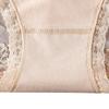 Antibacterial Seamless Mid-Waist Lace Panties