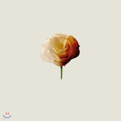Audio & Video – Musikalben