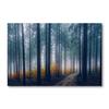 Modern Large Size Landscape Canvas Painting Forest Fog Road Trees Wall Art Prints Pictures Poster Cuadros Home Decor No Frame
