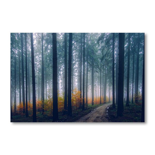

Современный большой размер пейзаж холст живопись лес туман дорога деревья настенные художественные принты фотографии плакат Cuadros домашний декор без рамки 21*30cm