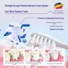 Renkang Doctor Probiotic Teeth Whitening & Stain Removal Powder