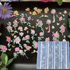 3D Peony Flower Nail Mold Diy Silicone Nail Tool Floral Petal Nail Art Carving Template Manicure Design