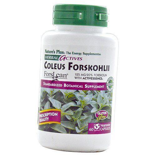 

Herbal Actives Coleus Forskohlii Nature s Plus 60вегкапс (71375033) 60vcaps