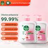 Dettol Moisturizing Antibacterial Hand Wash Refill Twin Pack