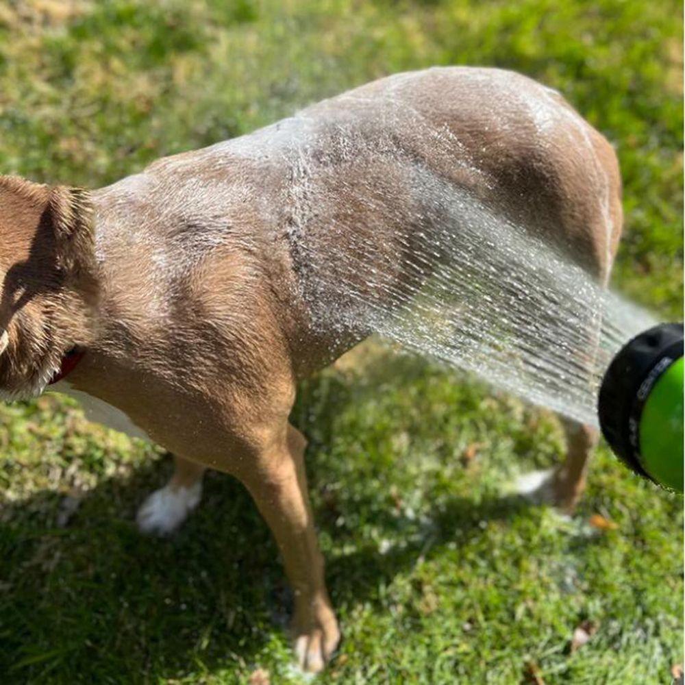 Plant Pet Car Washing Pet Shower Garden Supplies Garden Hose Nozzle Nozzle Foam Sprayer Car Sprayer