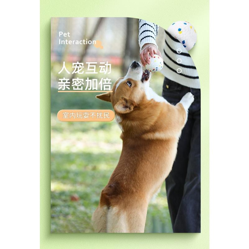 Durable Bite Resistant Elastic Solid Ball Chew Toy For Pet Dogs