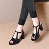 Black medium heel thick heel sandals women's summer 2025 thick sole fashion outer wear waterproof table fish mouth word with high heels women