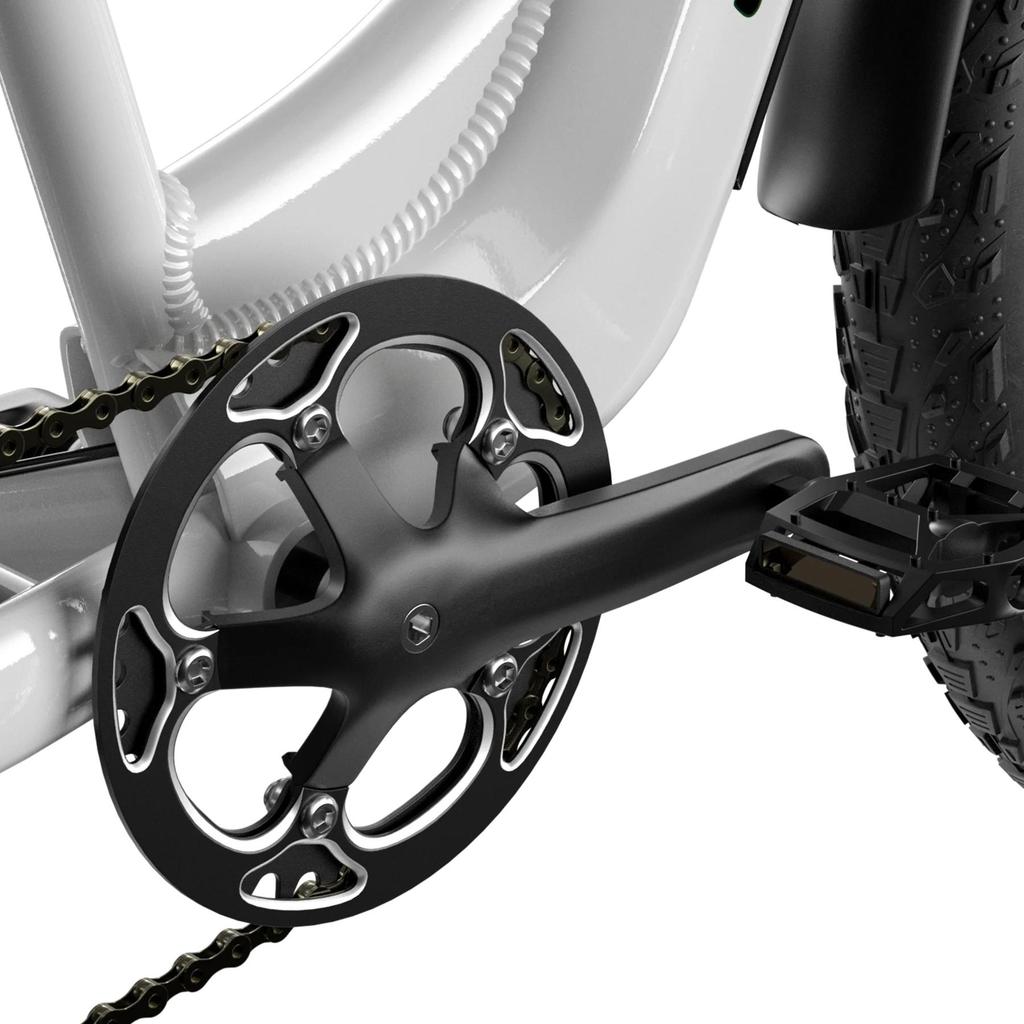 Shengmilo MX06 Electric Dirt Bike 1000W(Peak), 48V17.5Ah, Up To 42km/h, Front Suspension, Dual Disc Brakes, 26" Fat Tire E-Mountain Bike