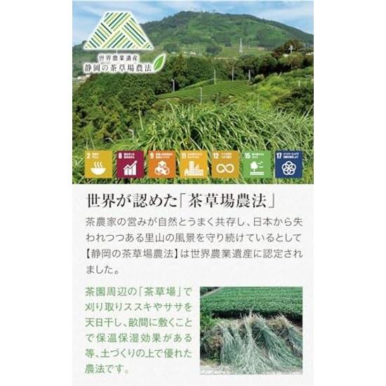 Nakamura Koryoen from Chagokoro Kakegawa Hojicha Tea Bags 5g30 pieces Roasted Deep steamed Shizuoka Prefecture produced Premium teapot Pack